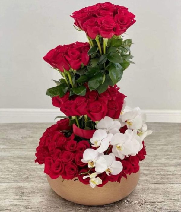 Orquídeas AF011
